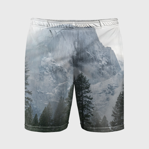 Мужские шорты спортивные Лес, цвет 3D печать