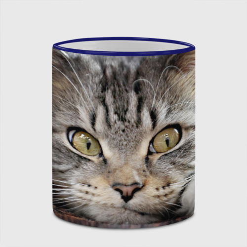 Кружка с полной запечаткой Кот усатый полосатый, цвет Кант синий - фото 4