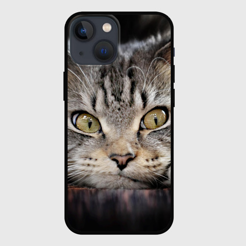 Чехол для iPhone 13 mini Кот усатый полосатый