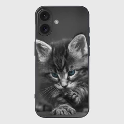 Чехол для iPhone 16 силиконовый с защитой камеры Серый голубоглазый котенок