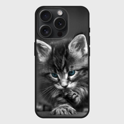 Чехол силиконовый для Apple iPhone 15 Pro Мax матовый Серый голубоглазый котенок
