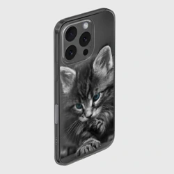 Чехол для iPhone 16 Pro Max силиконовый с защитой камеры Серый голубоглазый котенок - фото 2