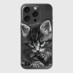 Чехол для iPhone 15 Pro силиконовый с защитой камеры Серый голубоглазый котенок