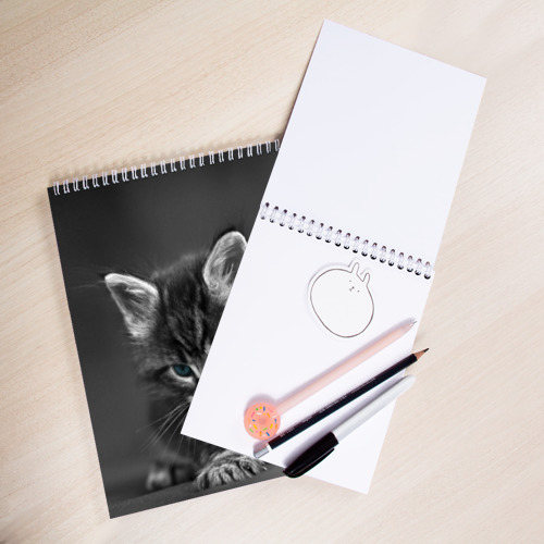 Скетчбук Серый голубоглазый котенок, цвет белый - фото 3