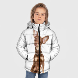 Зимняя куртка для мальчиков 3D Той-терьер - фото 2