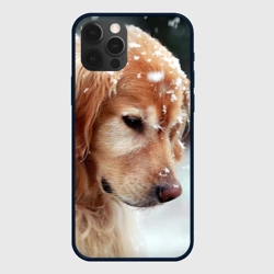 Чехол для iPhone 12 Pro Золотистый ретривер и падающий снег