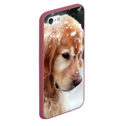 Чехол для iPhone 5/5S матовый Золотистый ретривер и падающий снег - фото 2