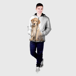 Мужская куртка 3D Золотистый ретривер - фото 2