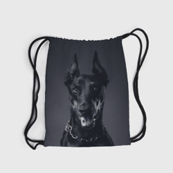 зоомагазин доберман в москве. рюкзак с доберманом. майка richmond мужская с доберманом. сумки с доберманом бренд. доберман зоомагазин.