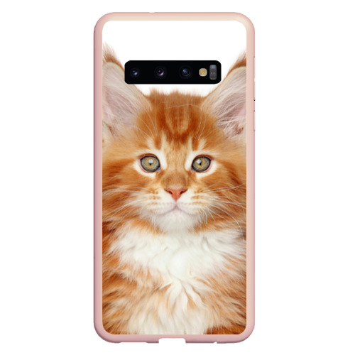 чехол рыжий кот