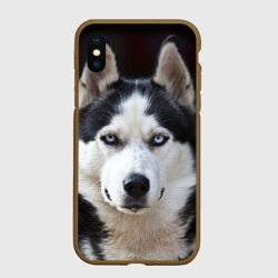 Чехол для iPhone XS Max матовый Хаски голубоглазая собака
