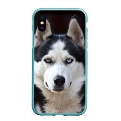 Чехол для iPhone XS Max матовый Хаски голубоглазая собака