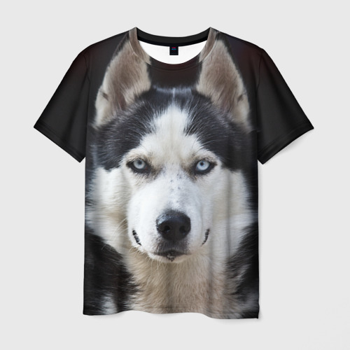 Мужская футболка с принтом Хаски голубоглазая собака, вид спереди №1