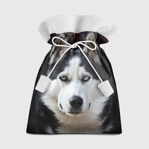 Подарочный 3D мешок Хаски голубоглазая собака