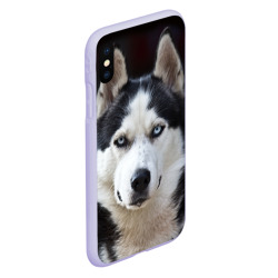 Чехол для iPhone XS Max матовый Хаски голубоглазая собака - фото 2