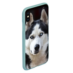 Чехол для iPhone XS Max матовый Хаски голубоглазая собака - фото 2