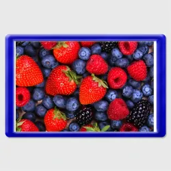 Магнит 45*70 Berries