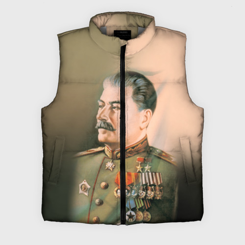 Мужской жилет утепленный 3D Сталин 1, цвет светло-серый