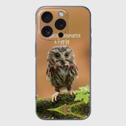 Чехол для iPhone 16 Pro Max силиконовый с защитой камеры Уруру