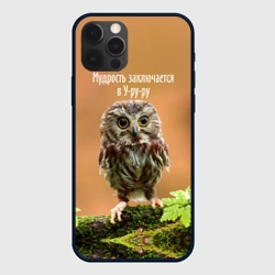 Чехол для iPhone 12 Pro Max Уруру