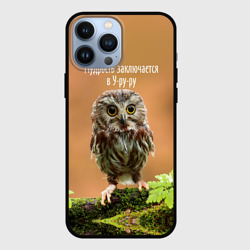 Чехол для iPhone 13 Pro Max Уруру