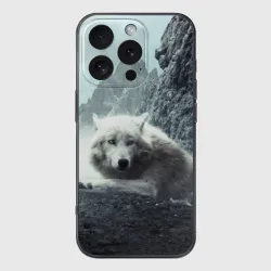 Чехол для iPhone 16 Pro силиконовый с защитой камеры Волк в горах
