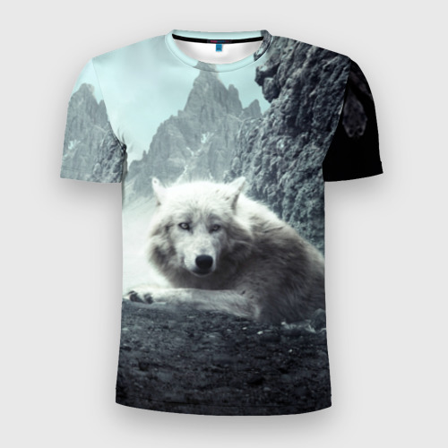 Мужская футболка 3D Slim Волк в горах, цвет 3D печать