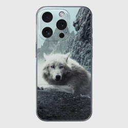 Чехол для iPhone 15 Pro силиконовый с защитой камеры Волк в горах