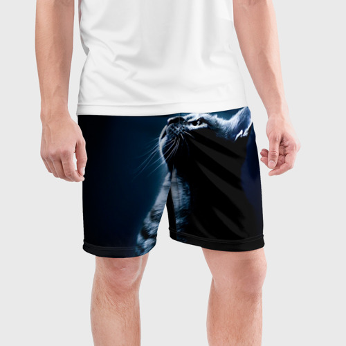 Мужские шорты спортивные Котёнок, цвет 3D печать - фото 3