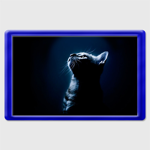 Магнит 45*70 Котёнок, цвет синий