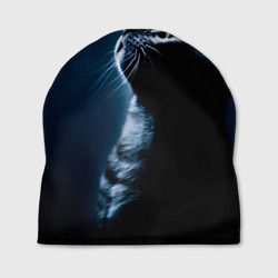 Шапка 3D Котёнок