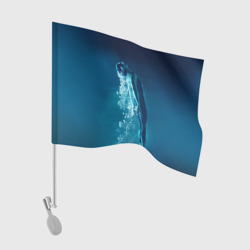 Флаг для автомобиля Под водой