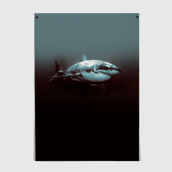 Постер Акула