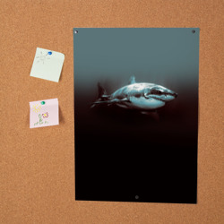 Постер Акула - фото 2