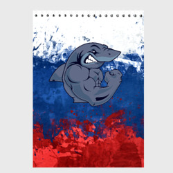 Скетчбук Акула