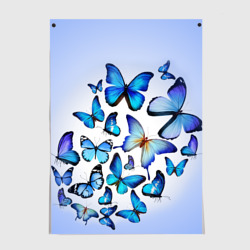 Постер Бабочки