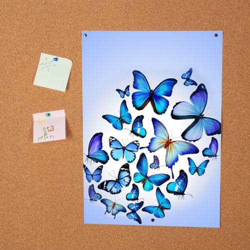 Постер Бабочки - фото 2