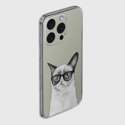 Чехол для iPhone 16 Pro Max силиконовый с защитой камеры Кот - хипстер - фото 2