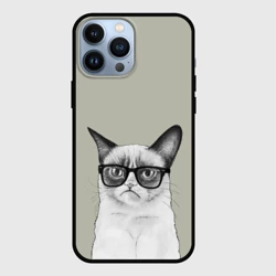 Чехол для iPhone 13 Pro Max Кот - хипстер