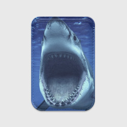Картхолдер Magsafe магнитный Белая акула