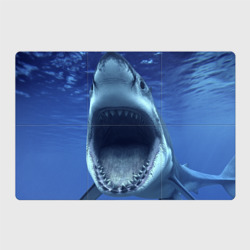 Магнитный плакат 3Х2 Белая акула