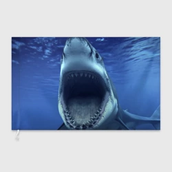 Флаг 3D Белая акула