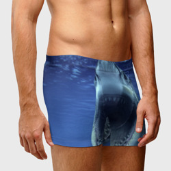 Мужские трусы 3D Белая акула - фото 2