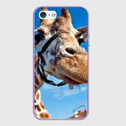 Чехол для iPhone 5/5S матовый Прикольный жираф