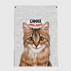 Постер Самая милая кошечка