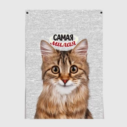 Постер Самая милая кошечка