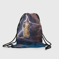 Рюкзак-мешок 3D Кот и молния