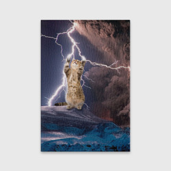 Кот и молния Кот и молния