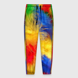 Мужские брюки 3D Цветные перья