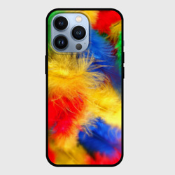 Чехол для iPhone 13 Pro Цветные перья